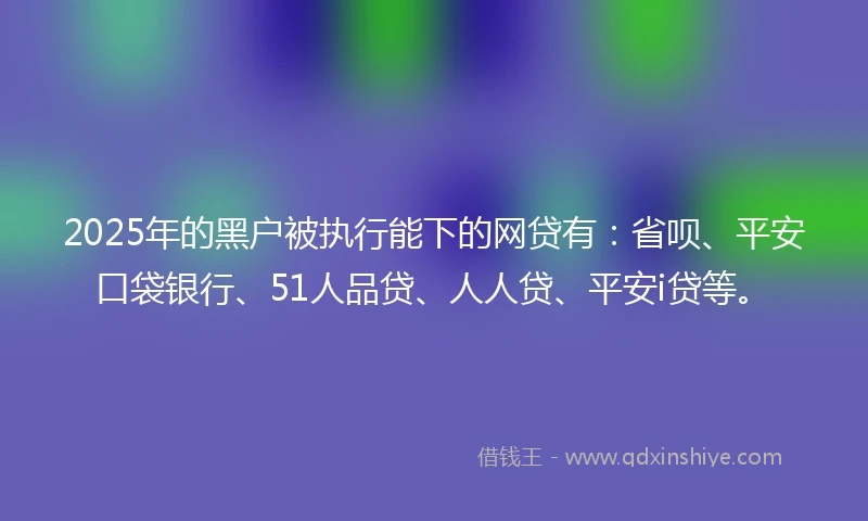 2025年的黑户被执行能下的网贷有：省呗、平安口袋银行、51人品贷、人人贷、平安i贷等。