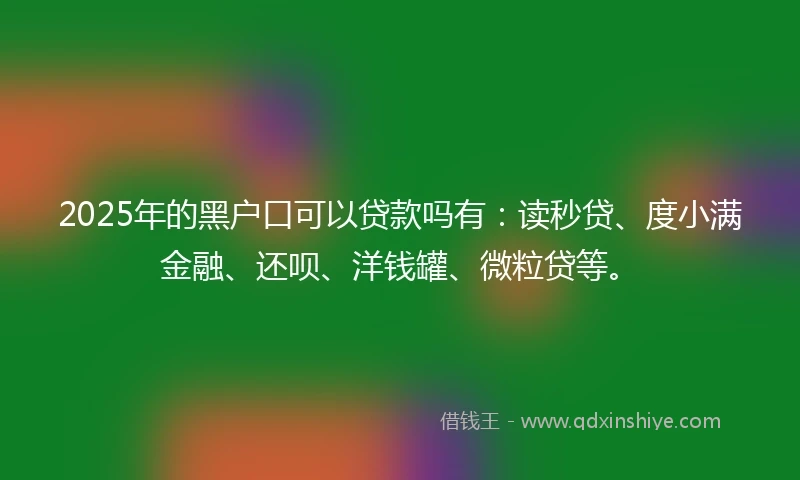 2025年的黑户口可以贷款吗有：读秒贷、度小满金融、还呗、洋钱罐、微粒贷等。