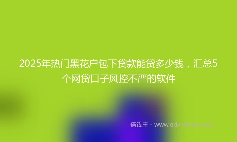 2025年热门黑花户包下贷款能贷多少钱，汇总5个网贷口子风控不严的软件