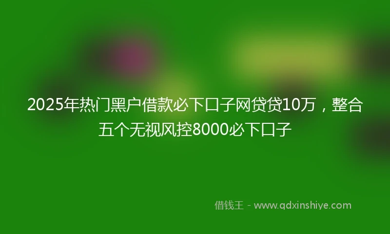 2025年热门黑户借款必下口子网贷贷10万，整合五个无视风控8000必下口子