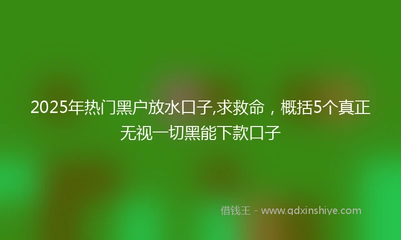 2025年热门黑户放水口子,求救命，概括5个真正无视一切黑能下款口子