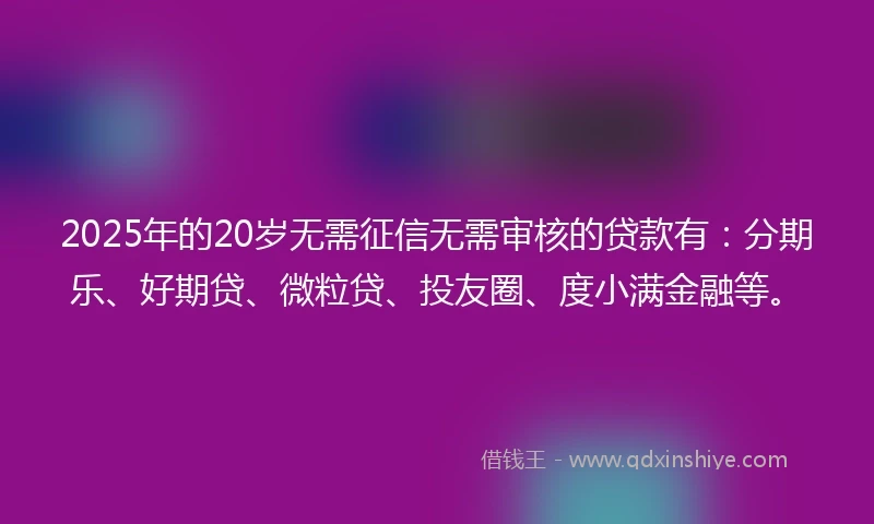 2025年的20岁无需征信无需审核的贷款有：分期乐、好期贷、微粒贷、投友圈、度小满金融等。