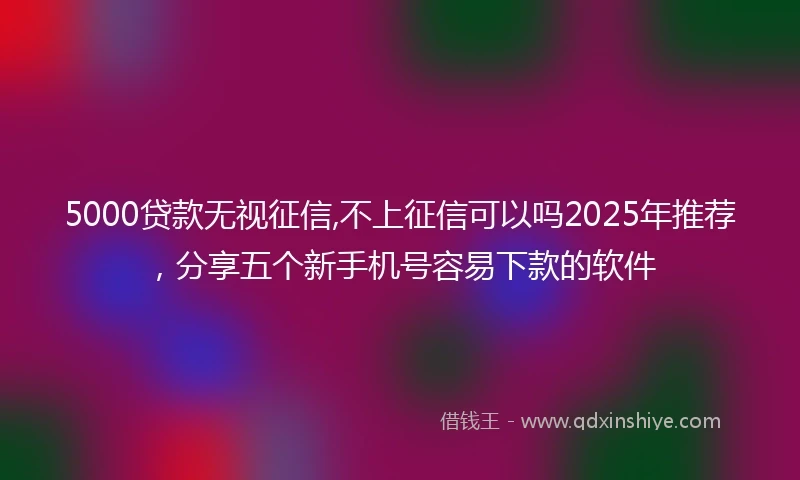 5000贷款无视征信,不上征信可以吗2025年推荐，分享五个新手机号容易下款的软件