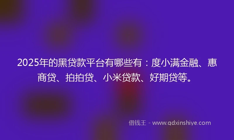 2025年的黑贷款平台有哪些有：度小满金融、惠商贷、拍拍贷、小米贷款、好期贷等。