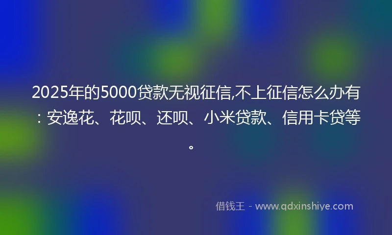 2025年的5000贷款无视征信,不上征信怎么办有：安逸花、花呗、还呗、小米贷款、信用卡贷等。