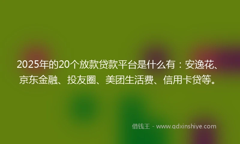 2025年的20个放款贷款平台是什么有：安逸花、京东金融、投友圈、美团生活费、信用卡贷等。
