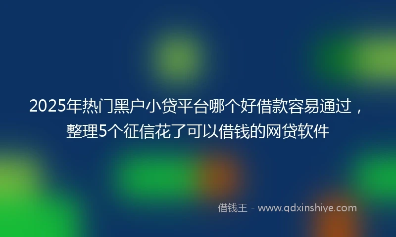 2025年热门黑户小贷平台哪个好借款容易通过，整理5个征信花了可以借钱的网贷软件