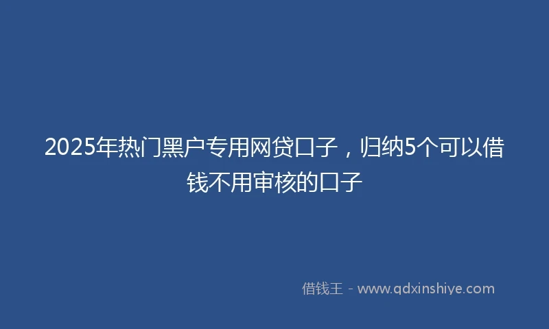 2025年热门黑户专用网贷口子，归纳5个可以借钱不用审核的口子