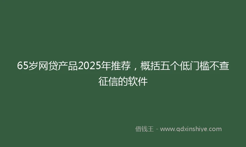 65岁网贷产品2025年推荐，概括五个低门槛不查征信的软件