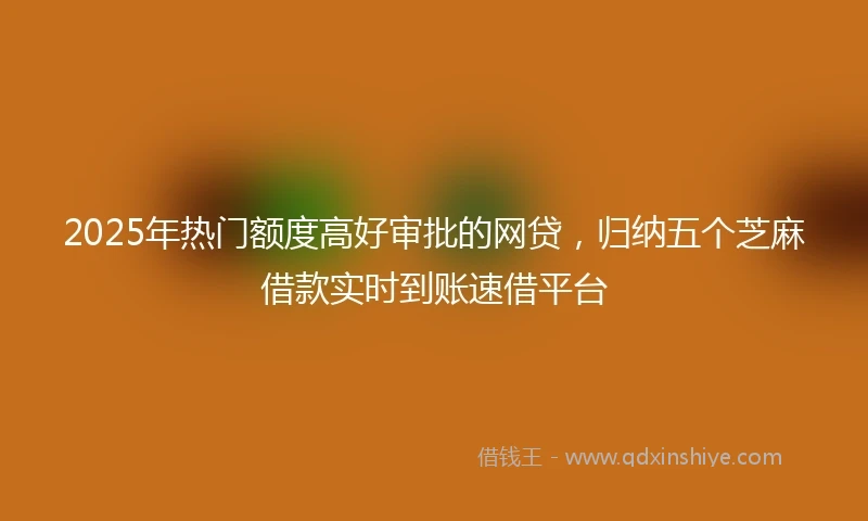 2025年热门额度高好审批的网贷，归纳五个芝麻借款实时到账速借平台