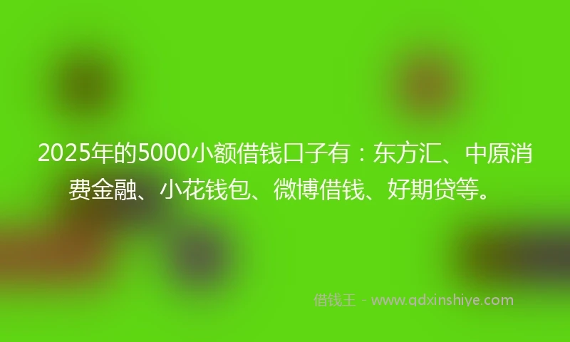 2025年的5000小额借钱口子有：东方汇、中原消费金融、小花钱包、微博借钱、好期贷等。
