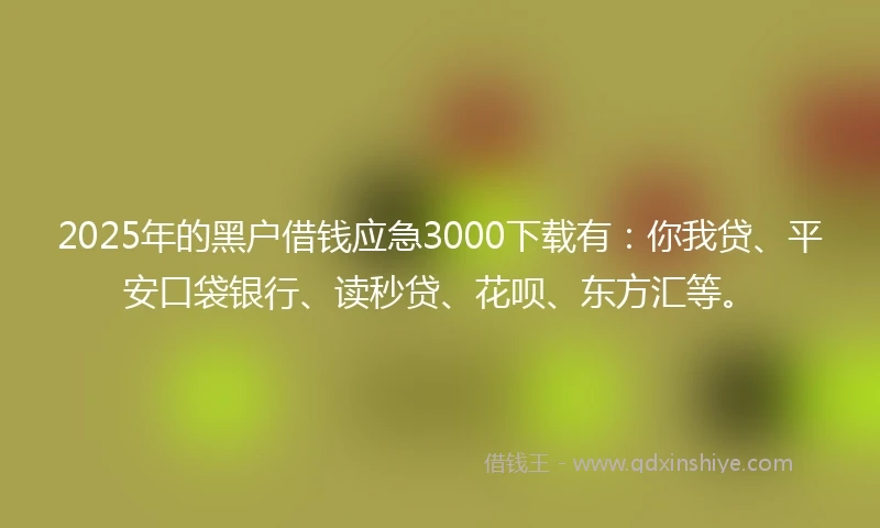 2025年的黑户借钱应急3000下载有：你我贷、平安口袋银行、读秒贷、花呗、东方汇等。