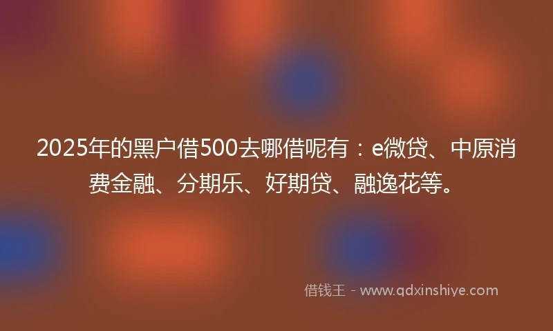 2025年的黑户借500去哪借呢有：e微贷、中原消费金融、分期乐、好期贷、融逸花等。