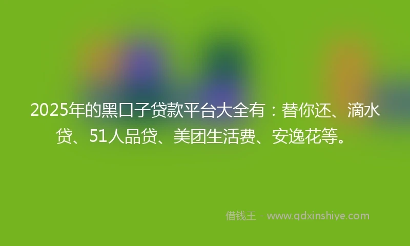 2025年的黑口子贷款平台大全有：替你还、滴水贷、51人品贷、美团生活费、安逸花等。