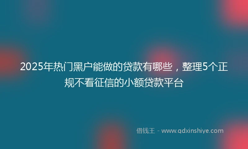 2025年热门黑户能做的贷款有哪些，整理5个正规不看征信的小额贷款平台