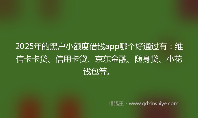 2025年的黑户小额度借钱app哪个好通过有：维信卡卡贷、信用卡贷、京东金融、随身贷、小花钱包等。
