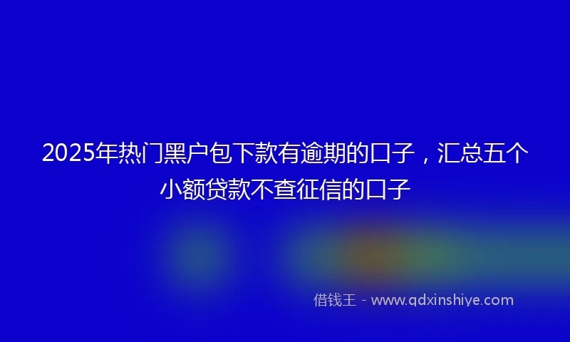 2025年热门黑户包下款有逾期的口子，汇总五个小额贷款不查征信的口子