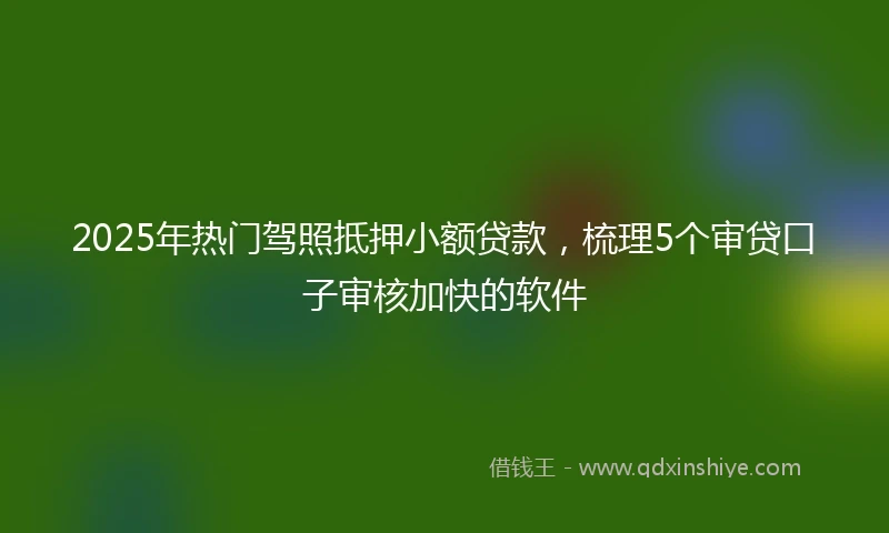 2025年热门驾照抵押小额贷款，梳理5个审贷口子审核加快的软件