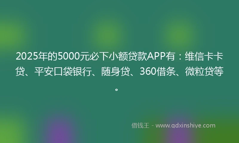 2025年的5000元必下小额贷款APP有：维信卡卡贷、平安口袋银行、随身贷、360借条、微粒贷等。