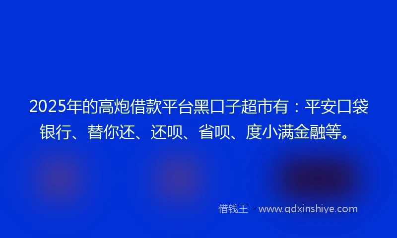 2025年的高炮借款平台黑口子超市有：平安口袋银行、替你还、还呗、省呗、度小满金融等。