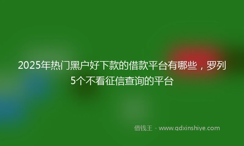2025年热门黑户好下款的借款平台有哪些，罗列5个不看征信查询的平台