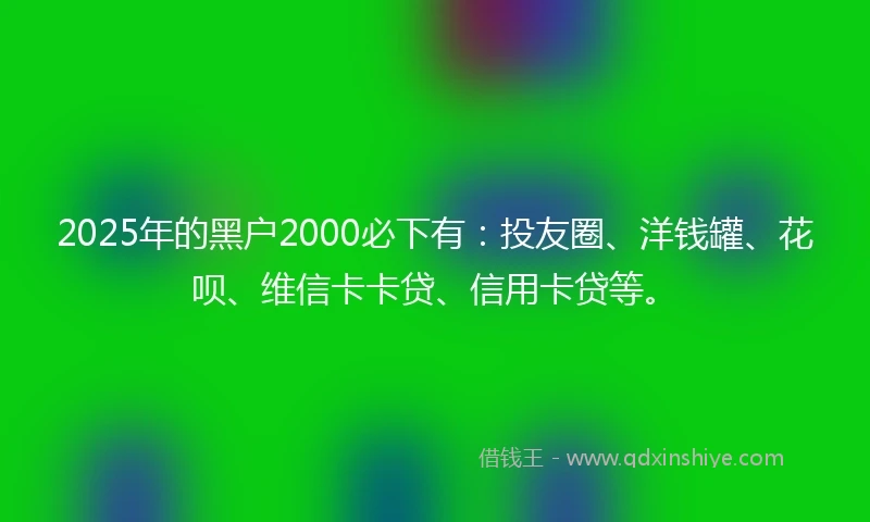 2025年的黑户2000必下有：投友圈、洋钱罐、花呗、维信卡卡贷、信用卡贷等。