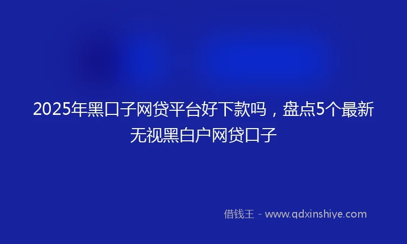 2025年黑口子网贷平台好下款吗，盘点5个最新无视黑白户网贷口子