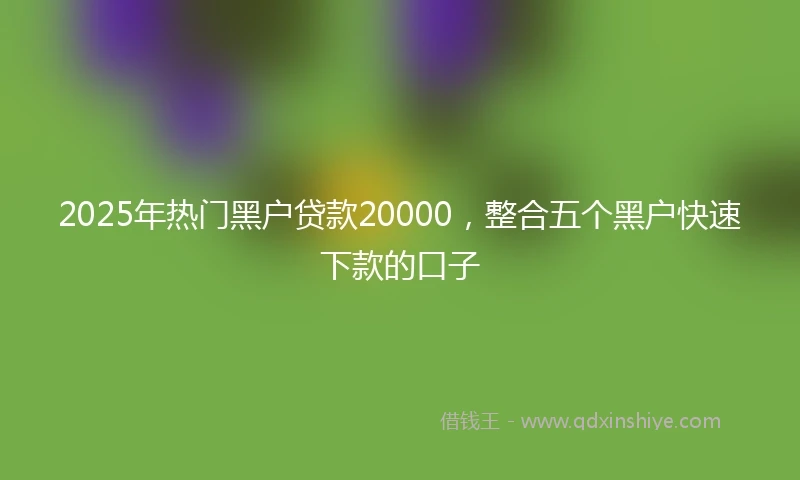 2025年热门黑户贷款20000，整合五个黑户快速下款的口子