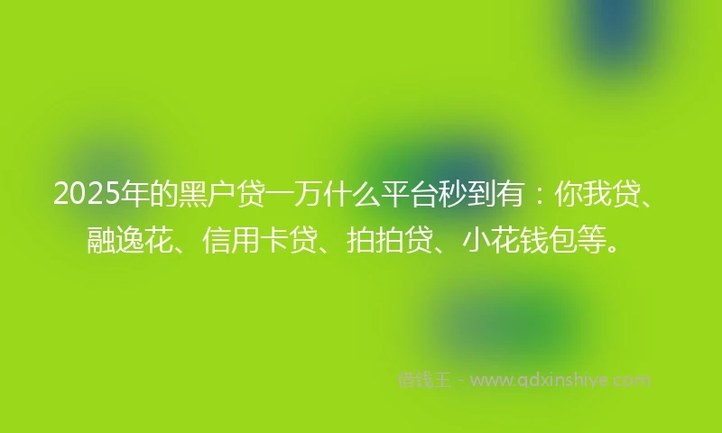 2025年的黑户贷一万什么平台秒到有：你我贷、融逸花、信用卡贷、拍拍贷、小花钱包等。
