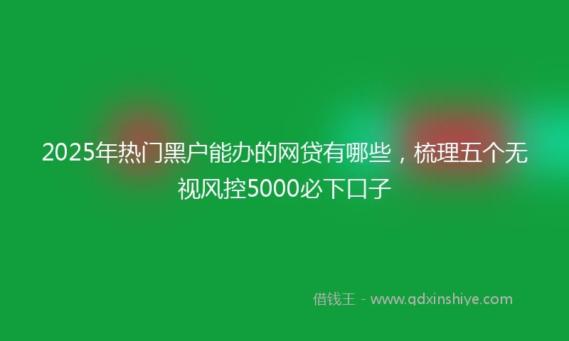 2025年热门黑户能办的网贷有哪些，梳理五个无视风控5000必下口子