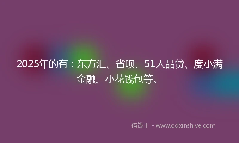 2025年的有：东方汇、省呗、51人品贷、度小满金融、小花钱包等。