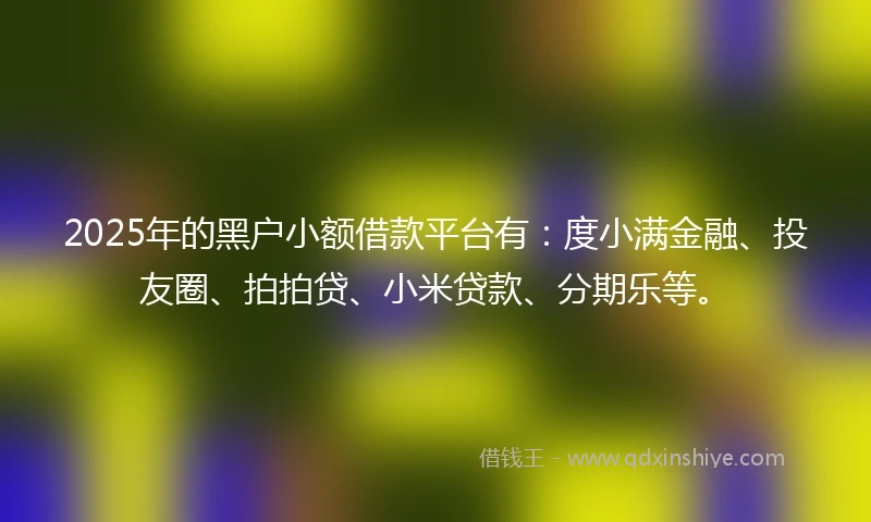 2025年的黑户小额借款平台有：度小满金融、投友圈、拍拍贷、小米贷款、分期乐等。