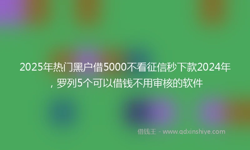 2025年热门黑户借5000不看征信秒下款2024年，罗列5个可以借钱不用审核的软件
