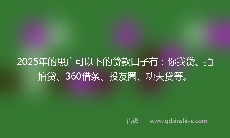 2025年的黑户可以下的贷款口子有：你我贷、拍拍贷、360借条、投友圈、功夫贷等。