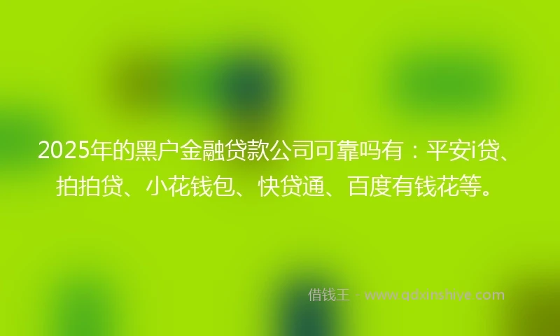 2025年的黑户金融贷款公司可靠吗有：平安i贷、拍拍贷、小花钱包、快贷通、百度有钱花等。