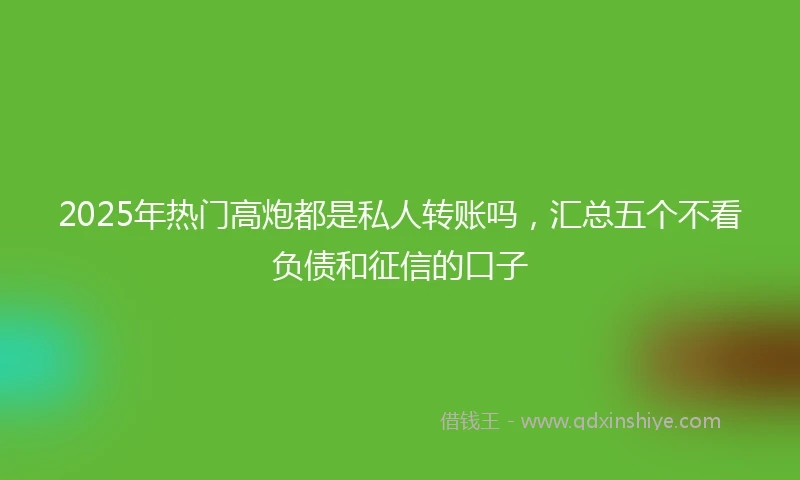 2025年热门高炮都是私人转账吗，汇总五个不看负债和征信的口子