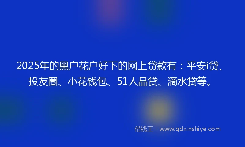 2025年的黑户花户好下的网上贷款有：平安i贷、投友圈、小花钱包、51人品贷、滴水贷等。