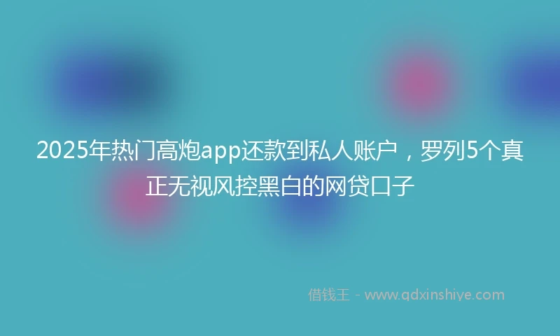 2025年热门高炮app还款到私人账户，罗列5个真正无视风控黑白的网贷口子