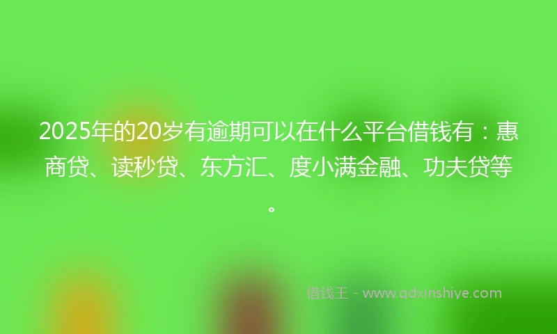 2025年的20岁有逾期可以在什么平台借钱有：惠商贷、读秒贷、东方汇、度小满金融、功夫贷等。