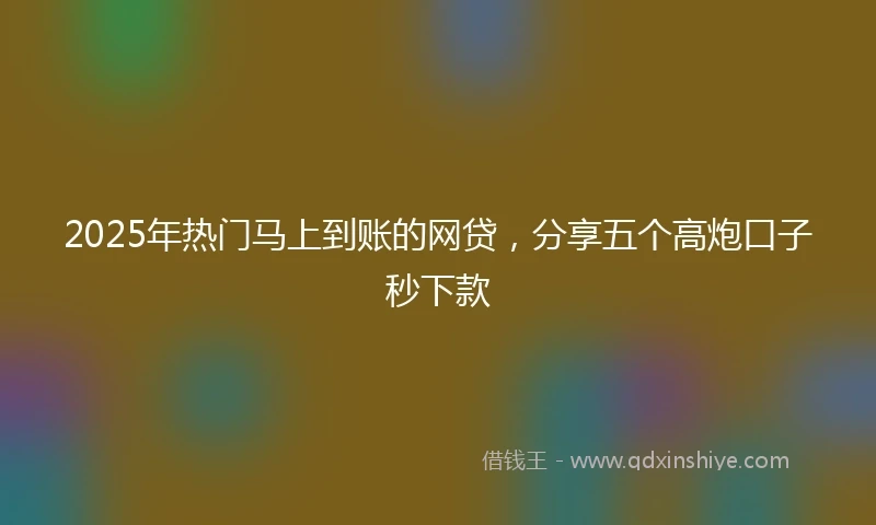 2025年热门马上到账的网贷，分享五个高炮口子秒下款