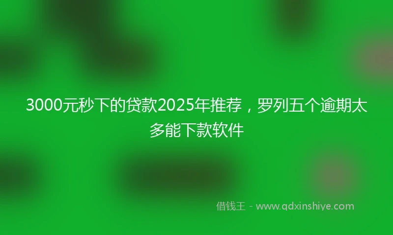 3000元秒下的贷款2025年推荐，罗列五个逾期太多能下款软件