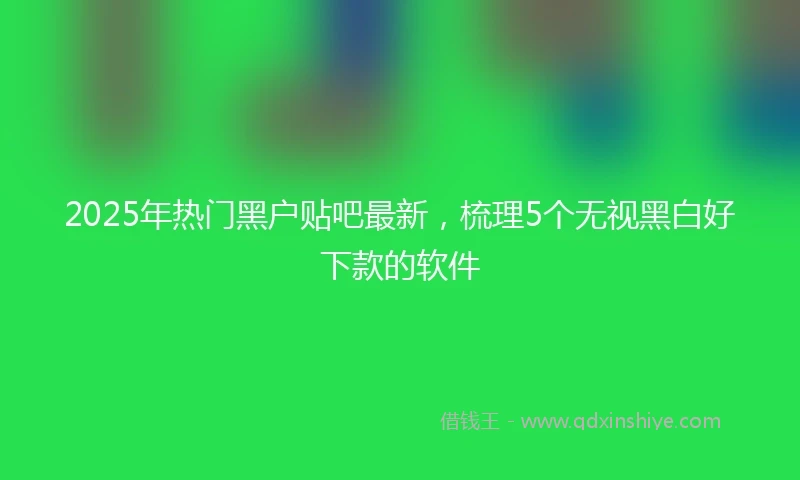 2025年热门黑户贴吧最新，梳理5个无视黑白好下款的软件