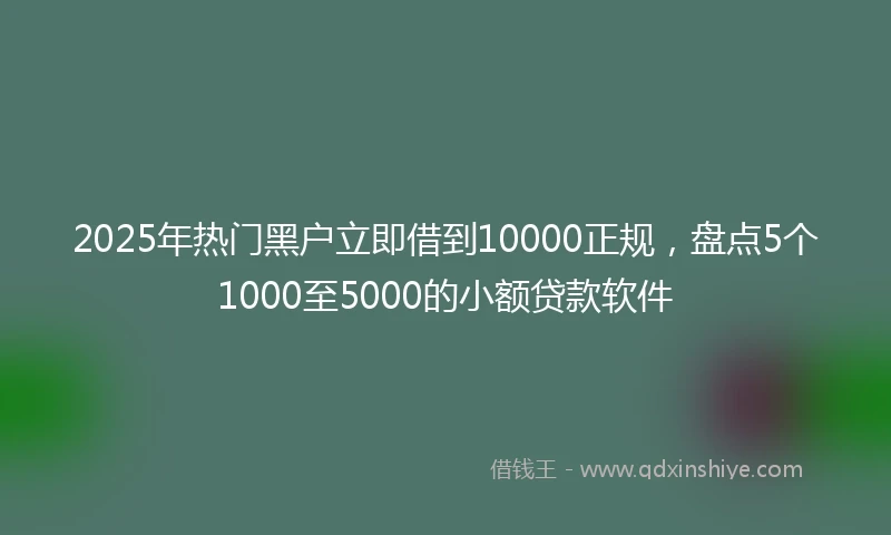 2025年热门黑户立即借到10000正规，盘点5个1000至5000的小额贷款软件