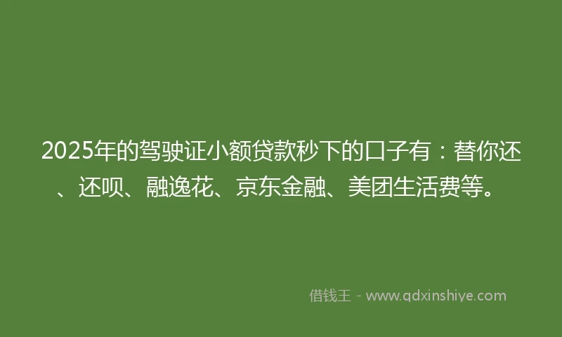 2025年的驾驶证小额贷款秒下的口子有：替你还、还呗、融逸花、京东金融、美团生活费等。