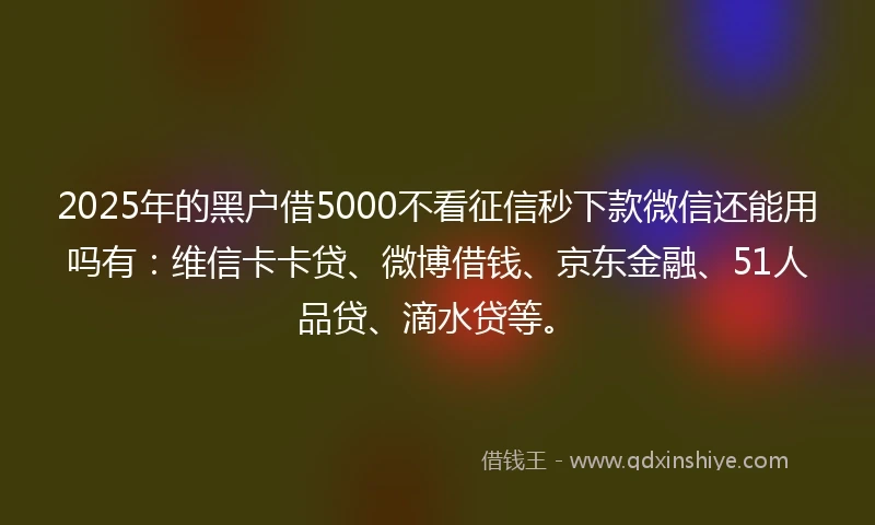 2025年的黑户借5000不看征信秒下款微信还能用吗有：维信卡卡贷、微博借钱、京东金融、51人品贷、滴水贷等。