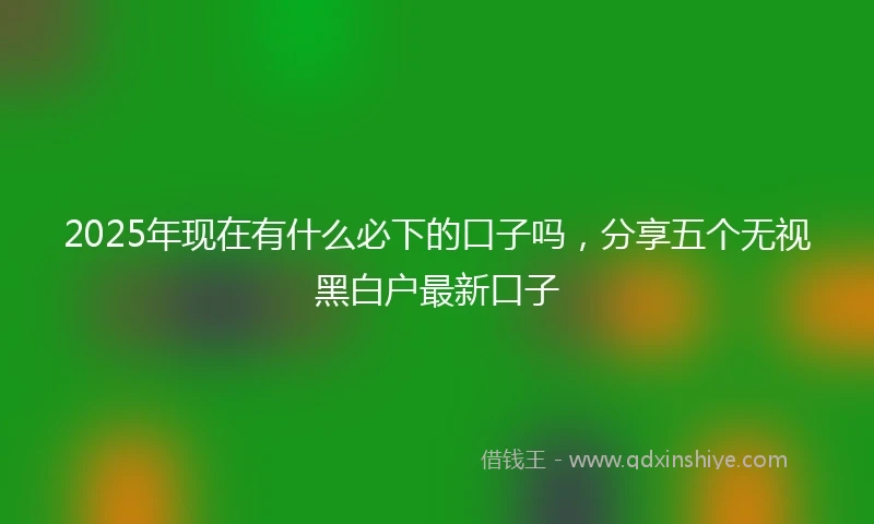 2025年现在有什么必下的口子吗，分享五个无视黑白户最新口子