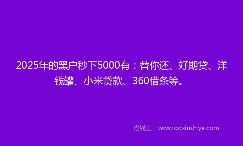 2025年的黑户秒下5000有：替你还、好期贷、洋钱罐、小米贷款、360借条等。