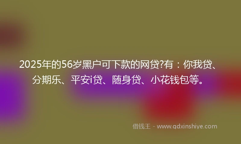 2025年的56岁黑户可下款的网贷?有：你我贷、分期乐、平安i贷、随身贷、小花钱包等。