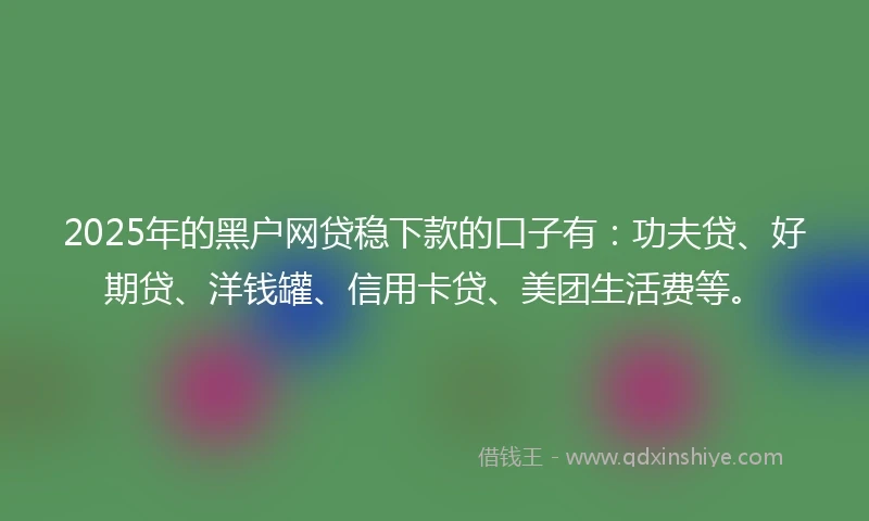 2025年的黑户网贷稳下款的口子有：功夫贷、好期贷、洋钱罐、信用卡贷、美团生活费等。