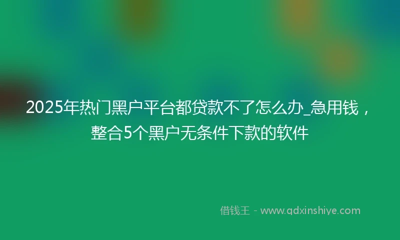 2025年热门黑户平台都贷款不了怎么办_急用钱，整合5个黑户无条件下款的软件